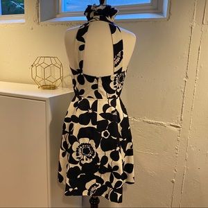 B&W Bold Jester Collar Dress